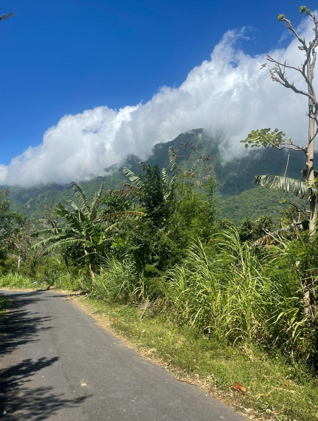 艾湄湾Tropical Habitat Bali别墅 外观 照片