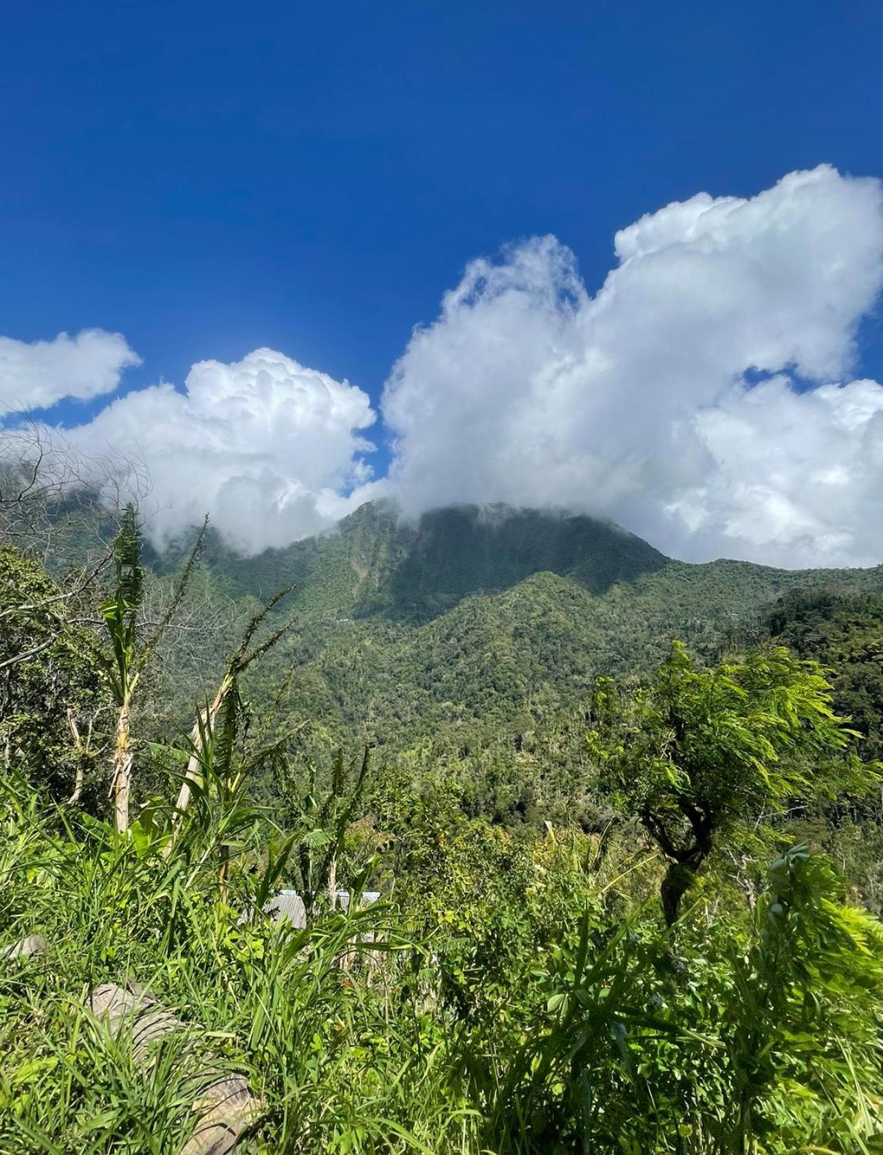 艾湄湾Tropical Habitat Bali别墅 外观 照片