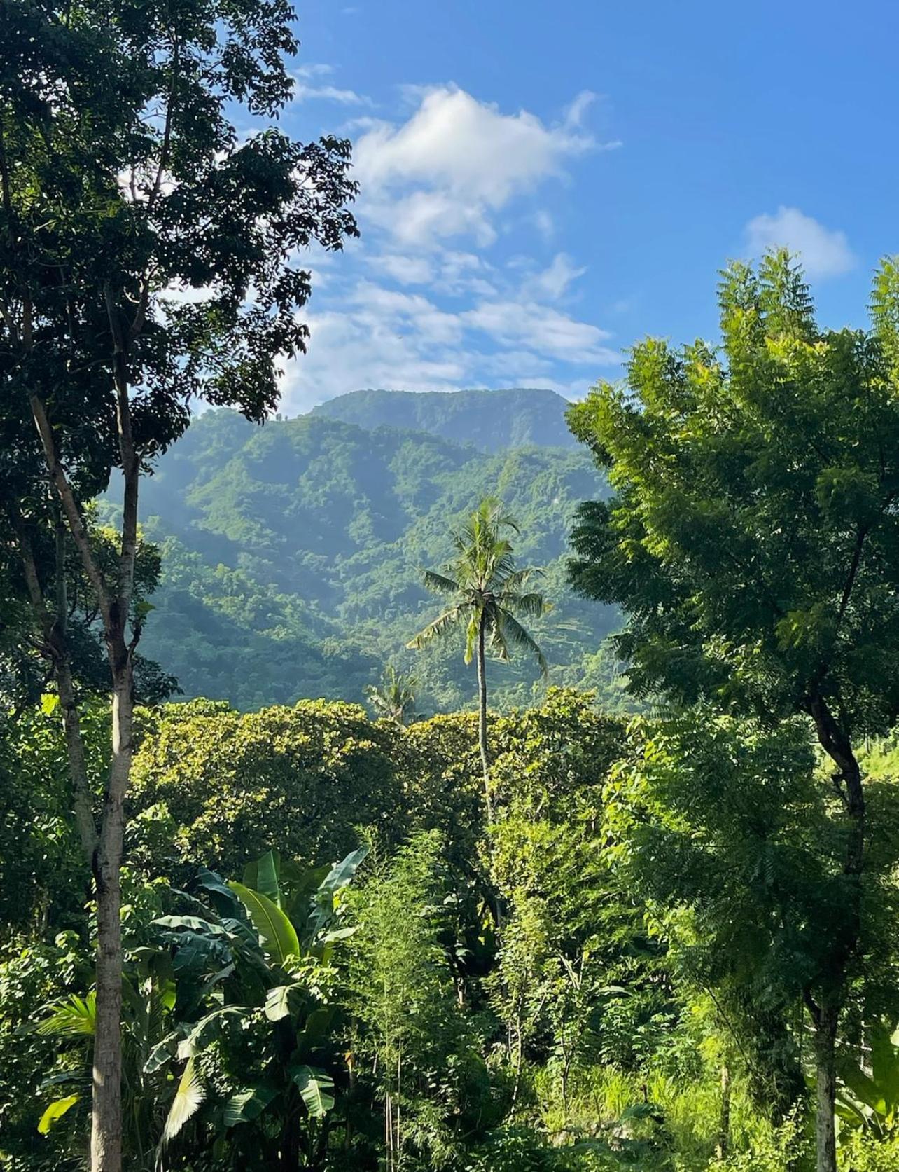 艾湄湾Tropical Habitat Bali别墅 外观 照片