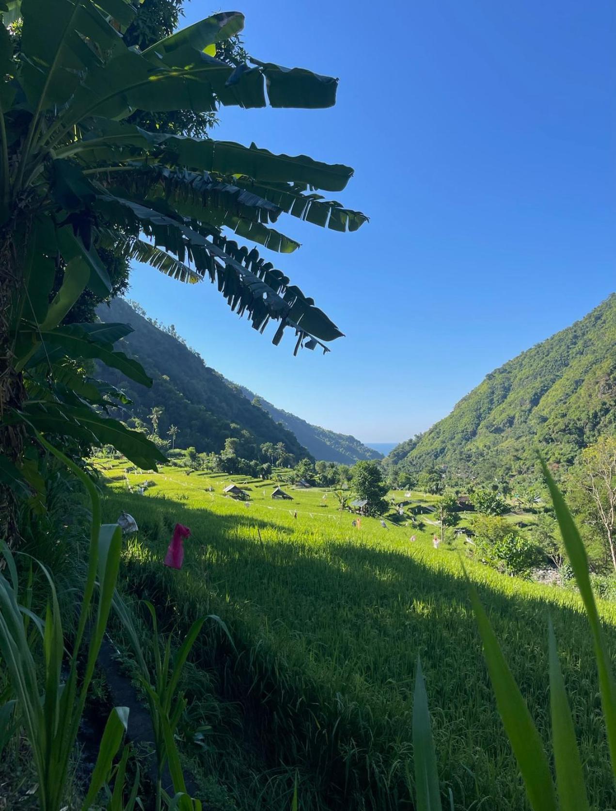 艾湄湾Tropical Habitat Bali别墅 外观 照片