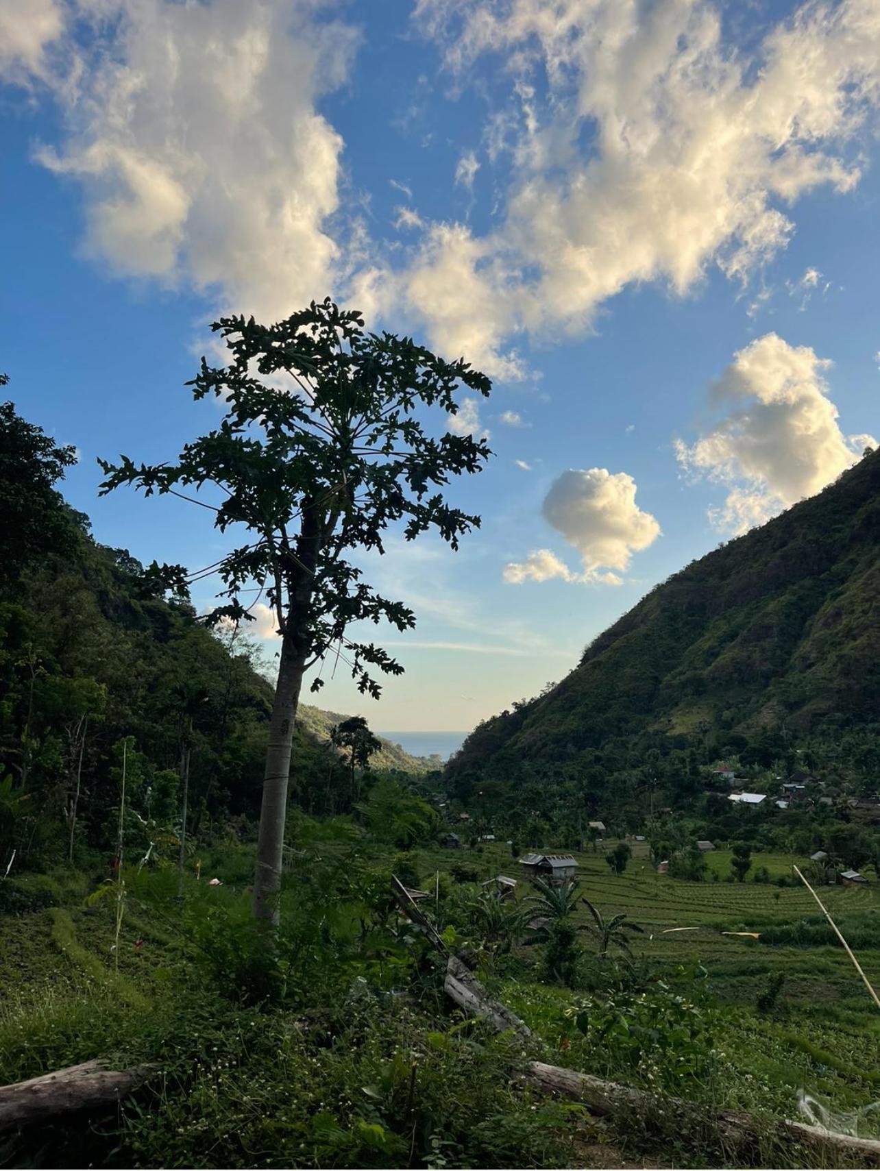 艾湄湾Tropical Habitat Bali别墅 外观 照片