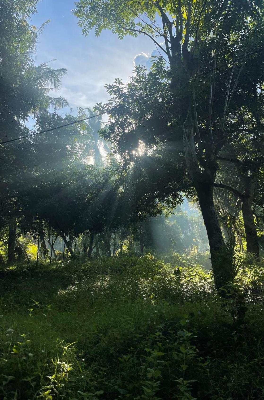 艾湄湾Tropical Habitat Bali别墅 外观 照片