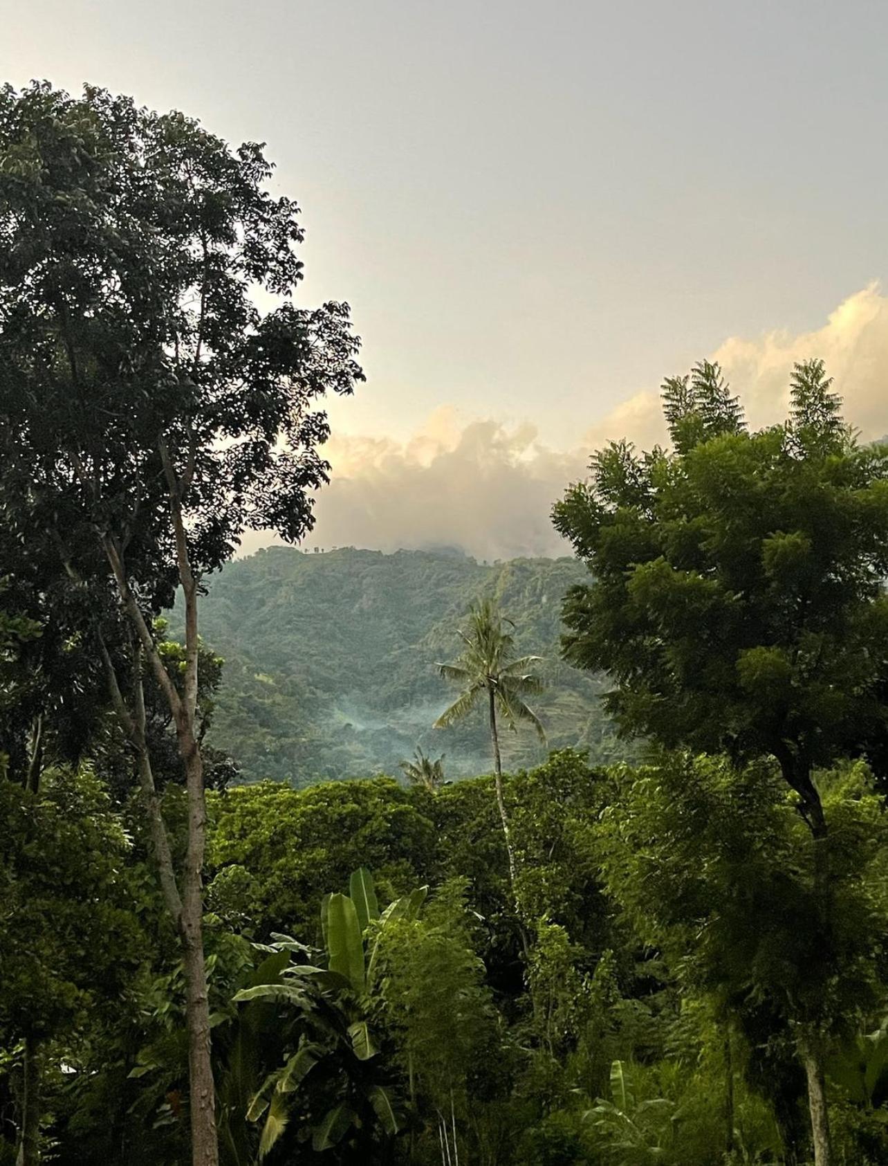 艾湄湾Tropical Habitat Bali别墅 外观 照片