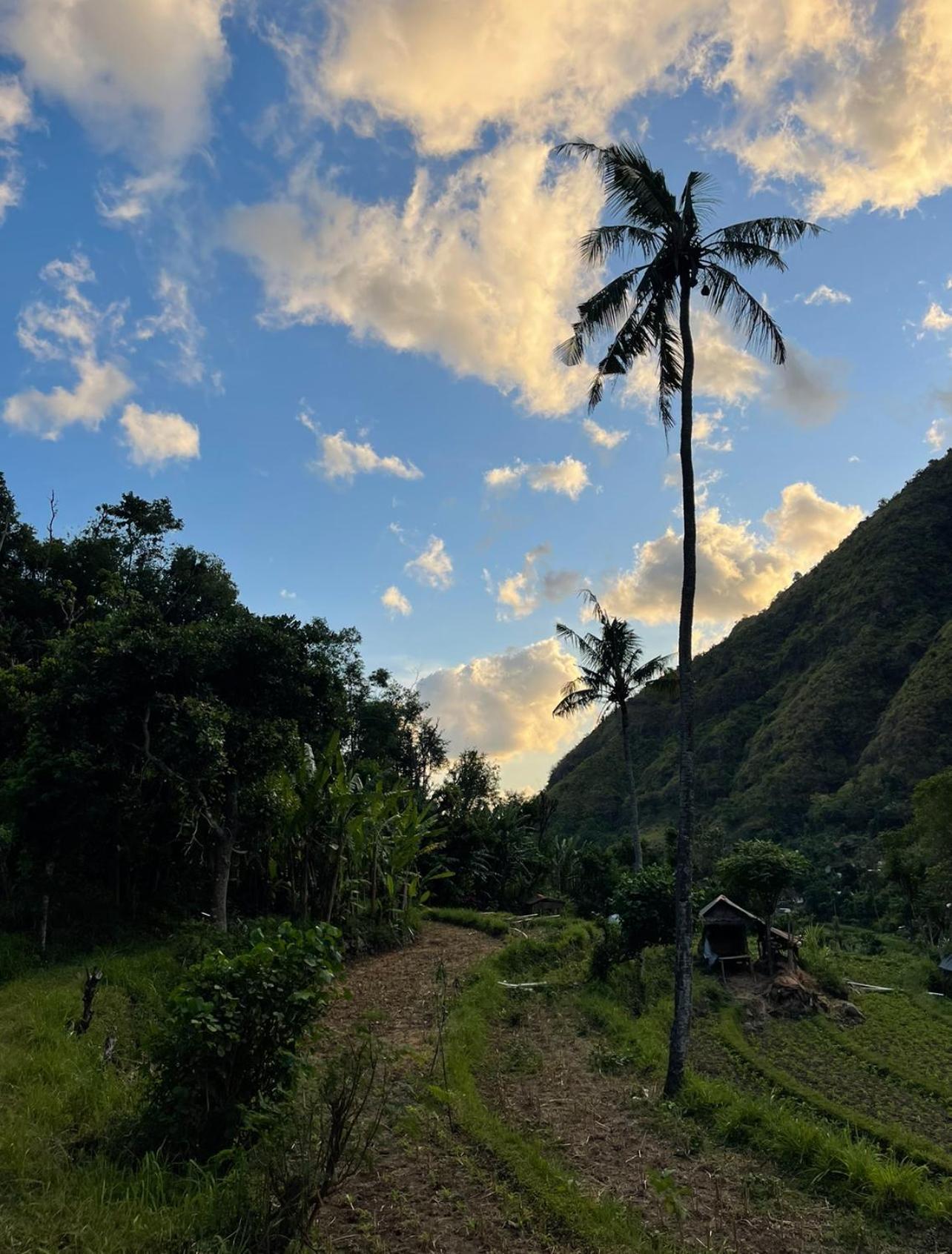 艾湄湾Tropical Habitat Bali别墅 外观 照片