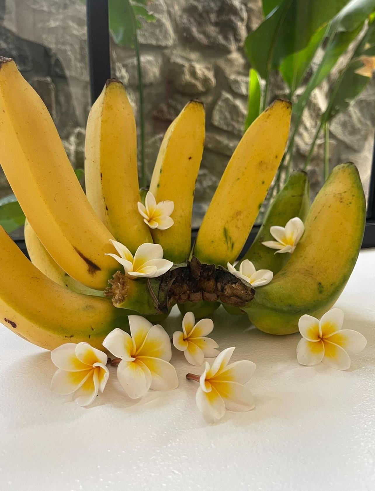 艾湄湾Tropical Habitat Bali别墅 外观 照片