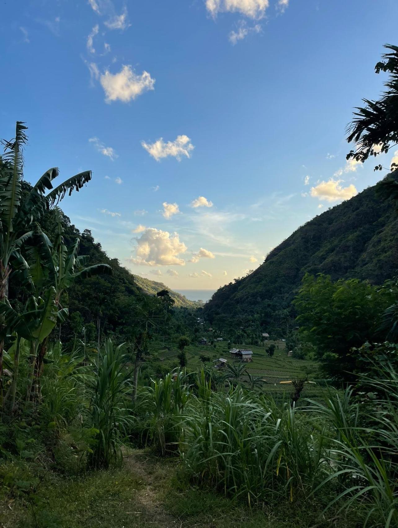 艾湄湾Tropical Habitat Bali别墅 外观 照片