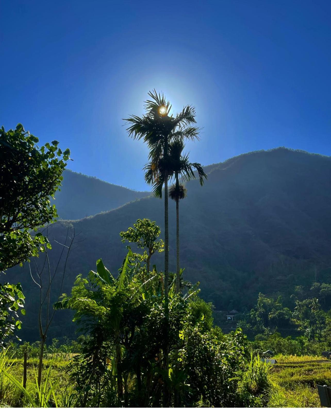 艾湄湾Tropical Habitat Bali别墅 外观 照片