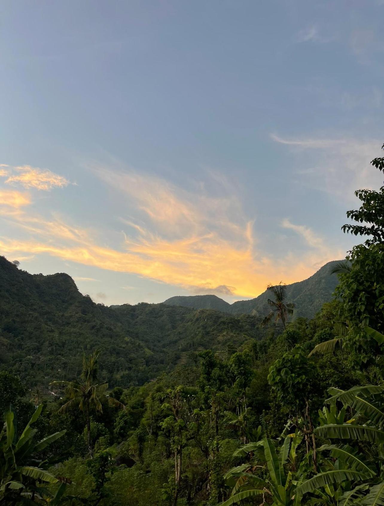 艾湄湾Tropical Habitat Bali别墅 外观 照片