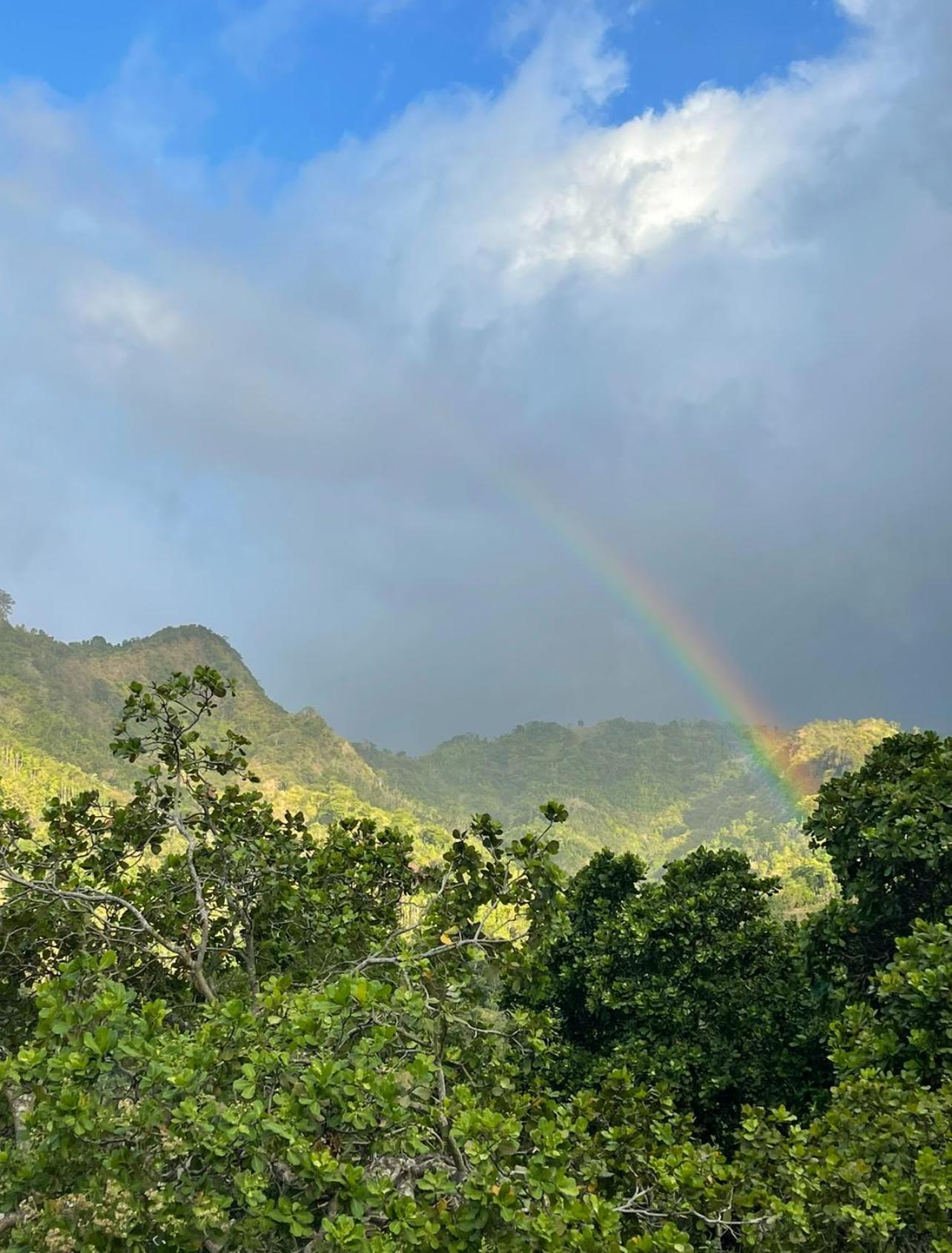 艾湄湾Tropical Habitat Bali别墅 外观 照片