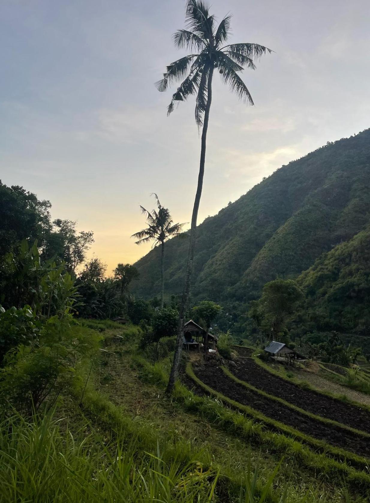 艾湄湾Tropical Habitat Bali别墅 外观 照片