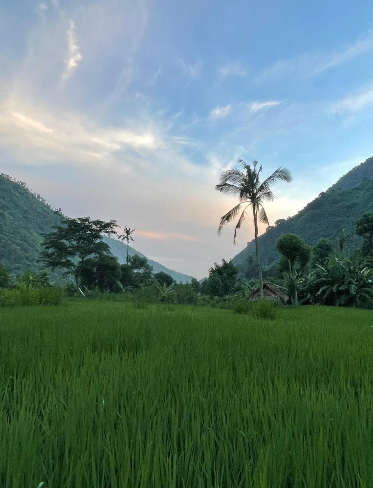 艾湄湾Tropical Habitat Bali别墅 外观 照片